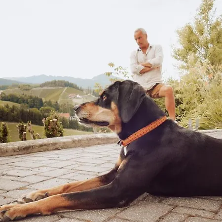 Winehouse Living Дом отдыха