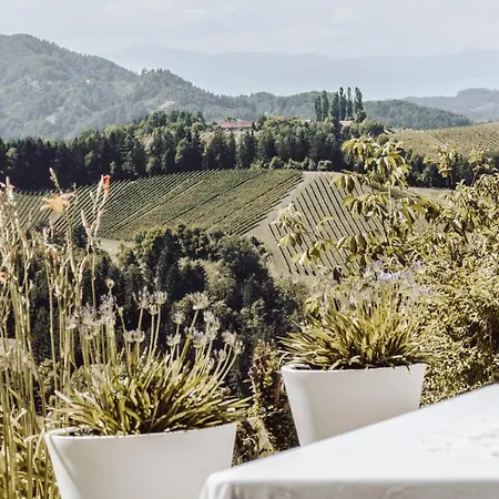 Дом отдыха Winehouse Living Лойчах