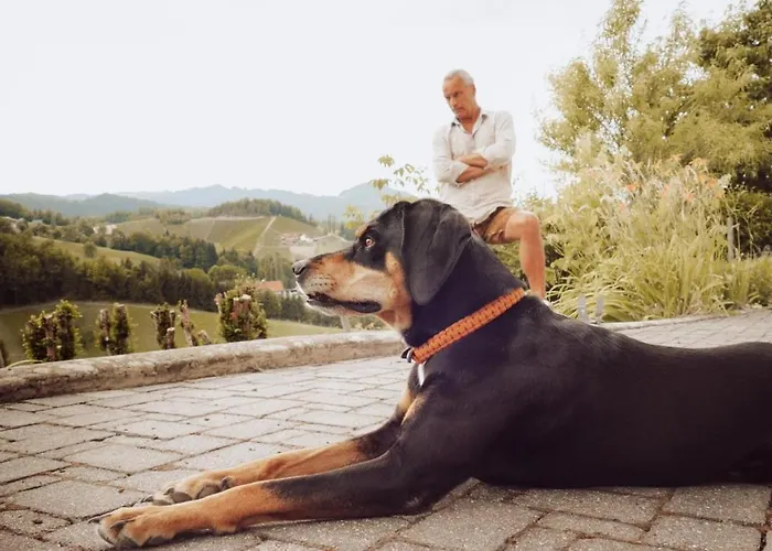 Winehouse Living Holiday home