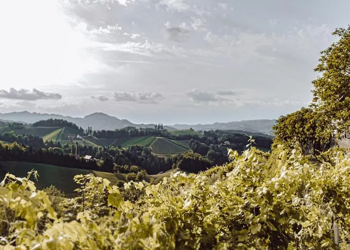 Holiday home Winehouse Living *